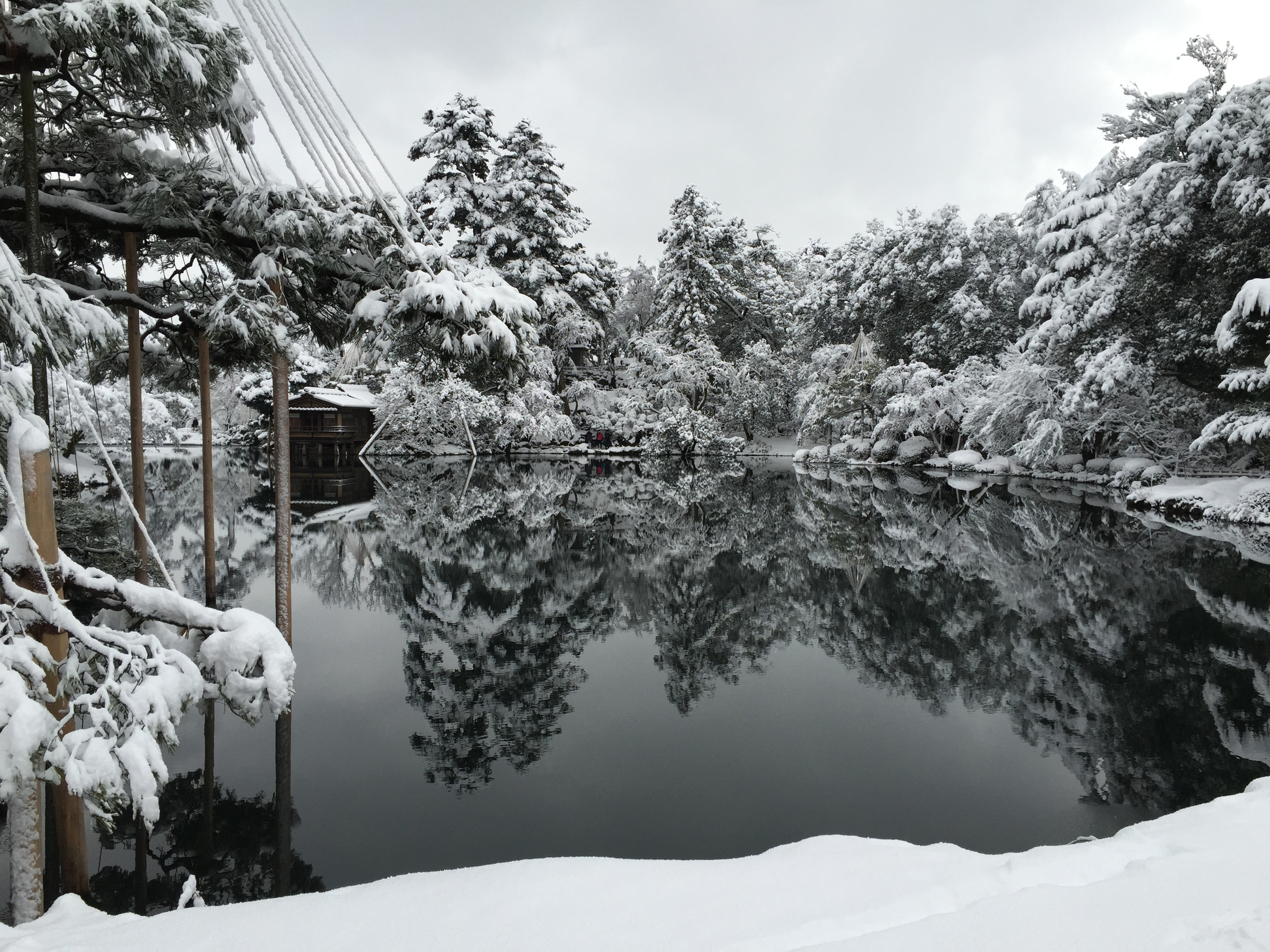 雪