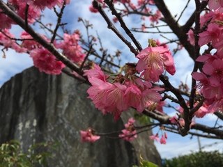 名護市のひで歯科クリニック