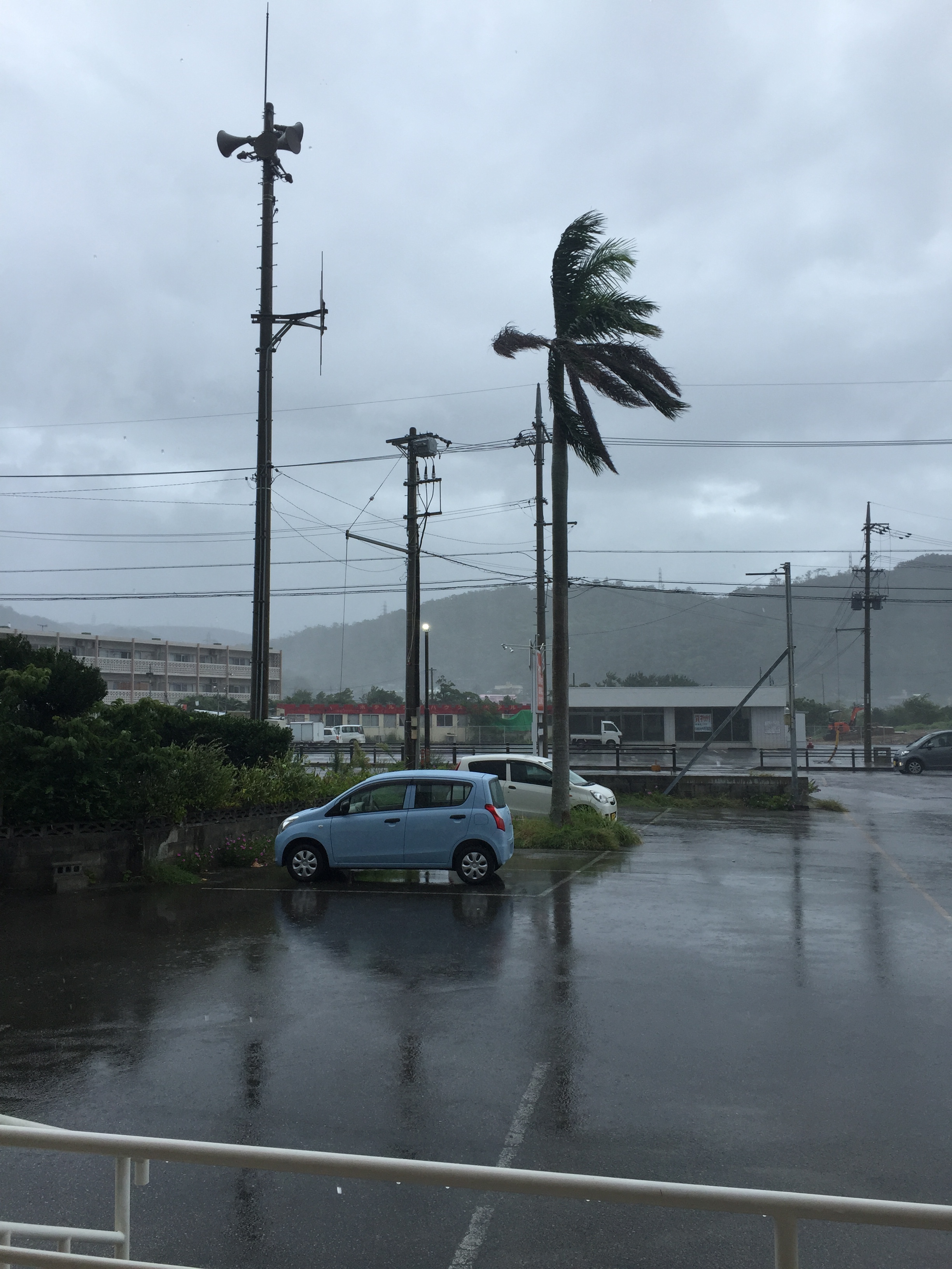 名護市に台風直撃